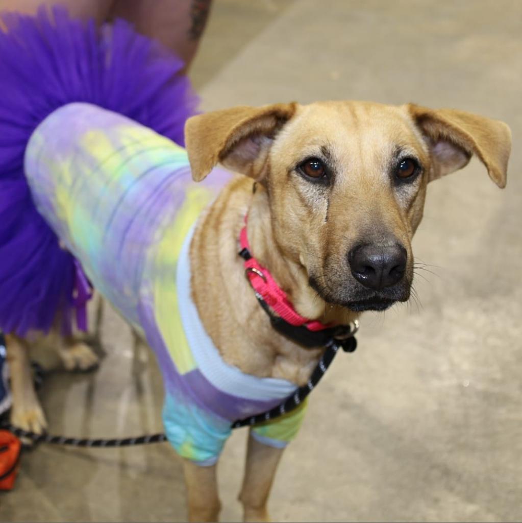 Elena Jum thumbnail 5