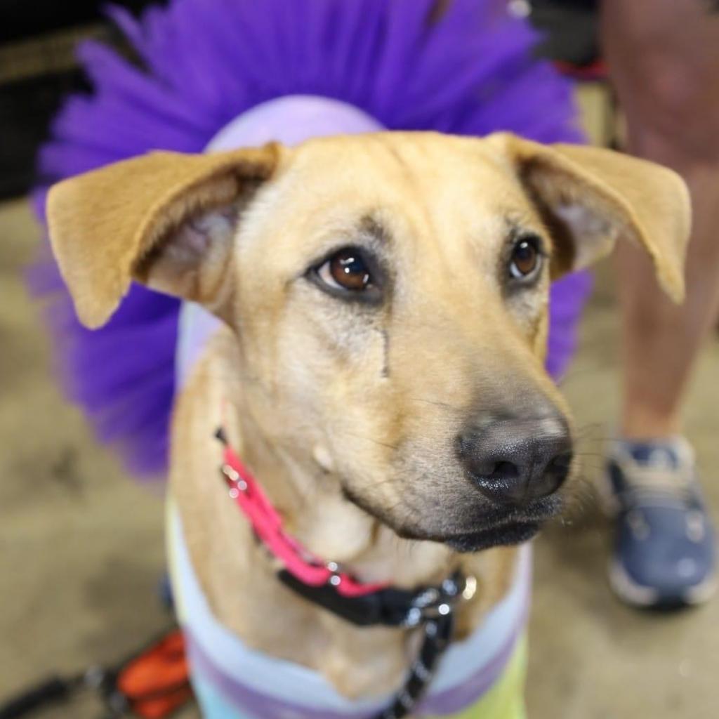 Elena Jum thumbnail 6