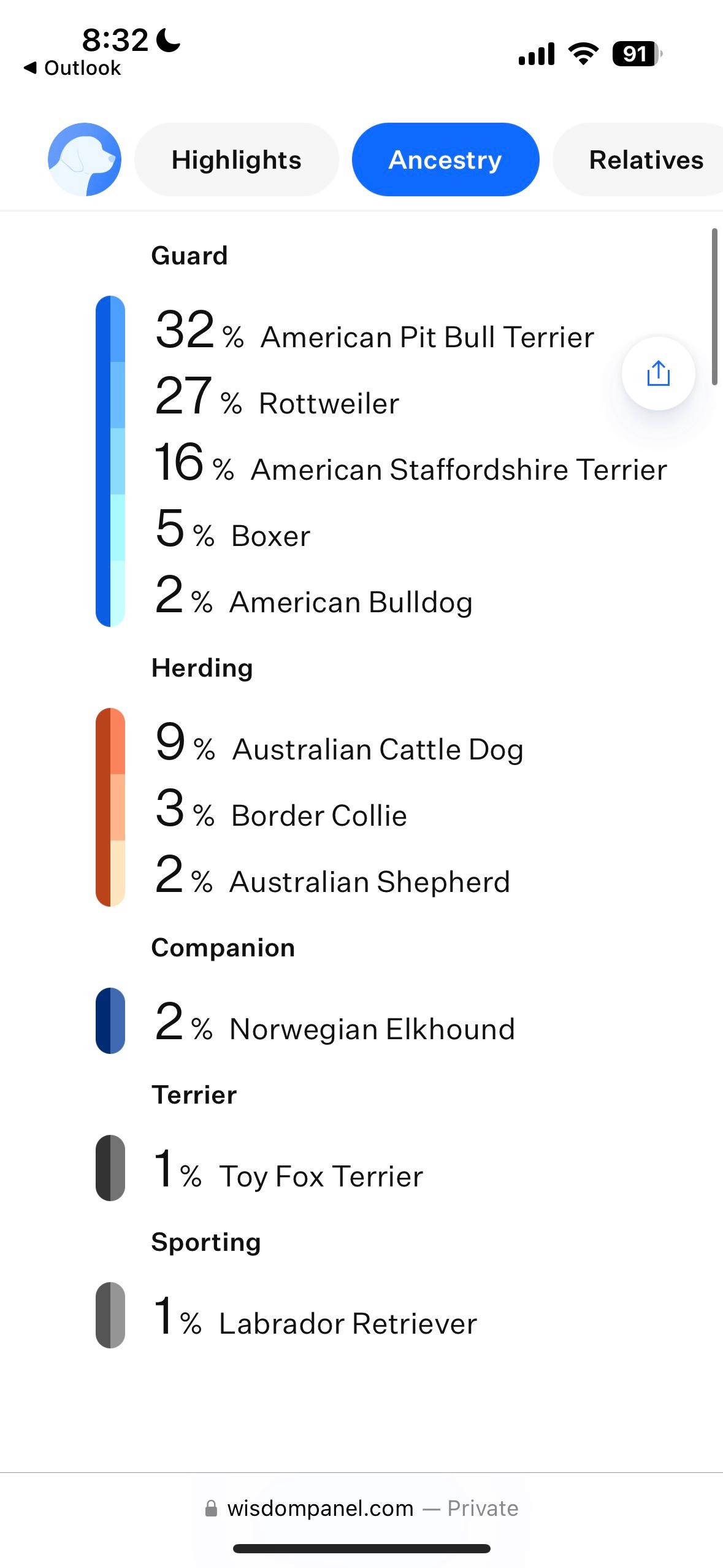 Vada, a ADOPTABLE mixed breed in Mantua, OH image 5/6