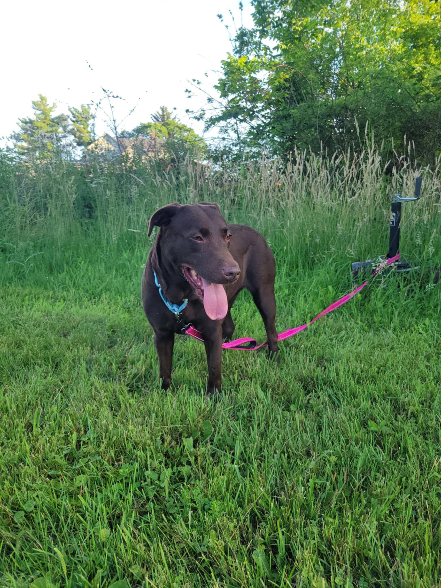 Chloe-Not Accepting Applications Yet!