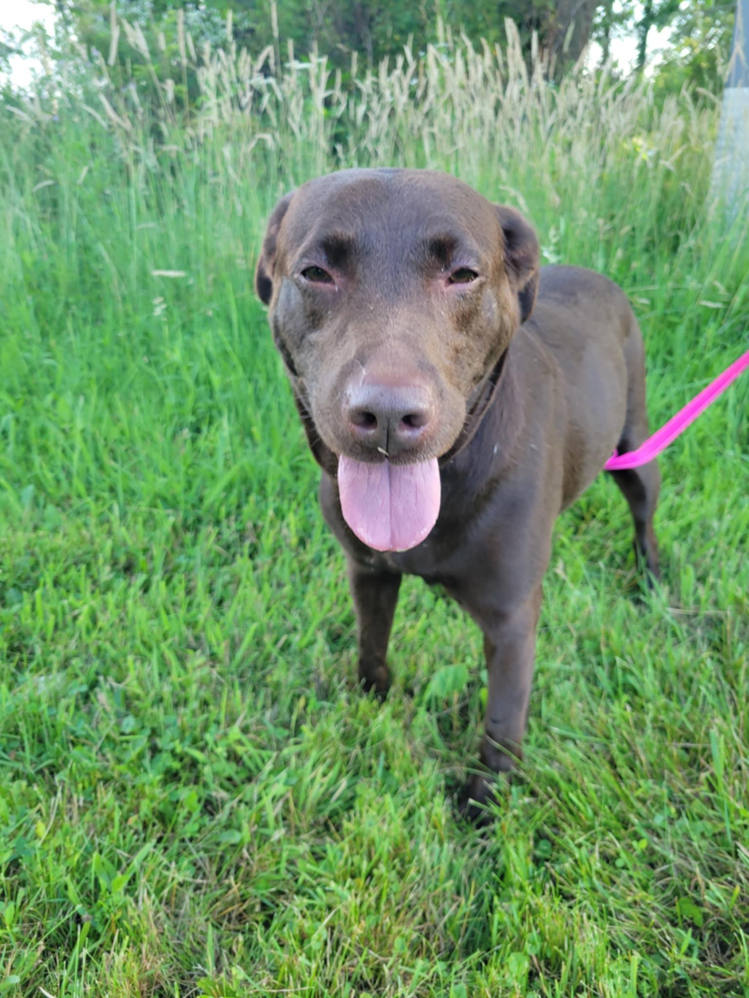 Chloe-Not Accepting Applications Yet!