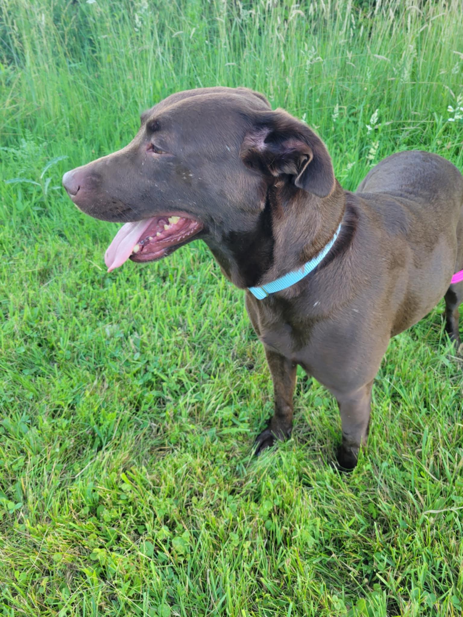 Chloe-Not Accepting Applications Yet!