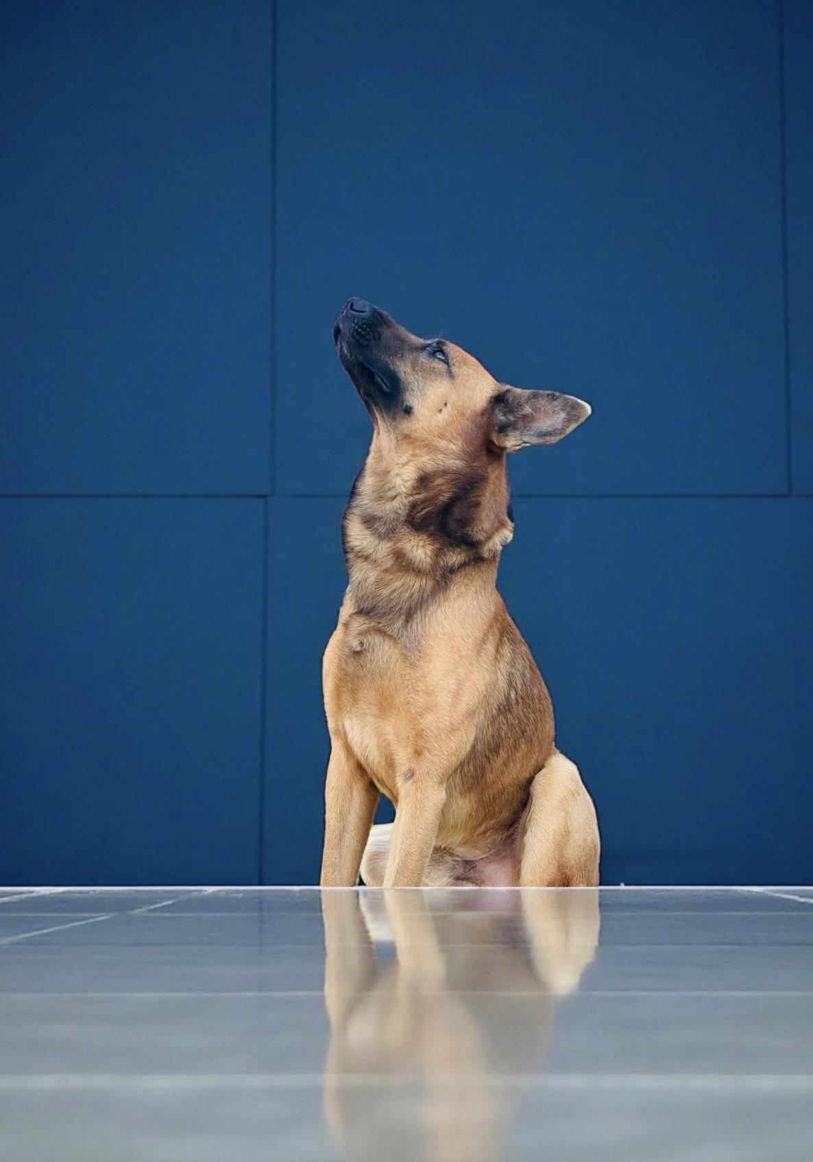 Axel — thumbnail 5