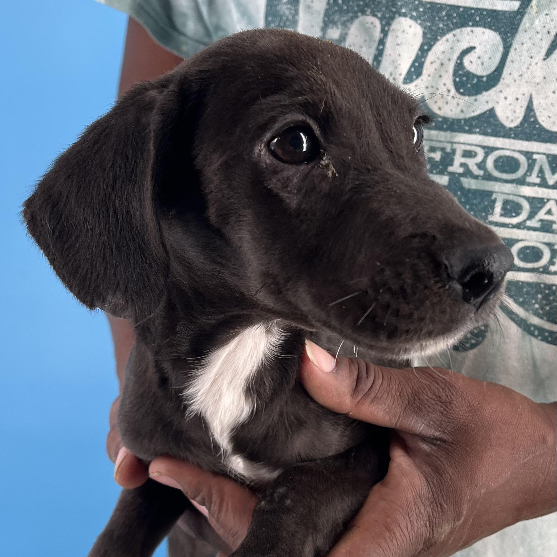 Alden - Local Sept 26-28