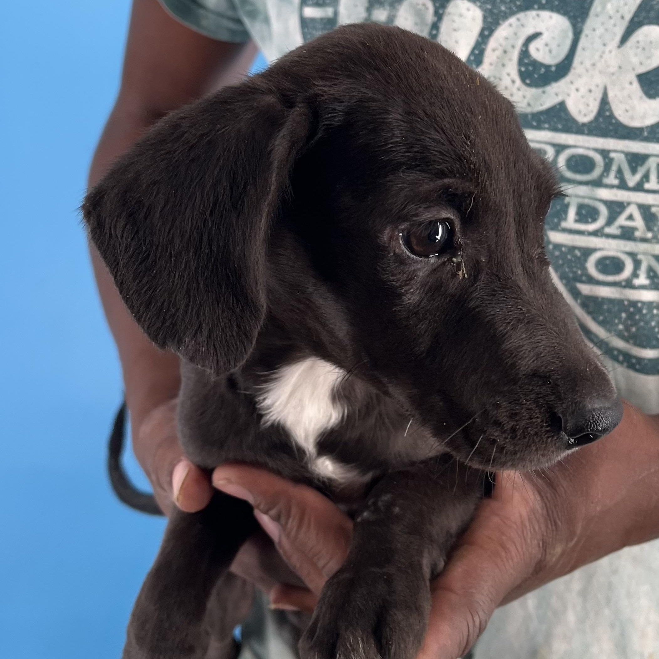 Alden - Local Sept 26-28