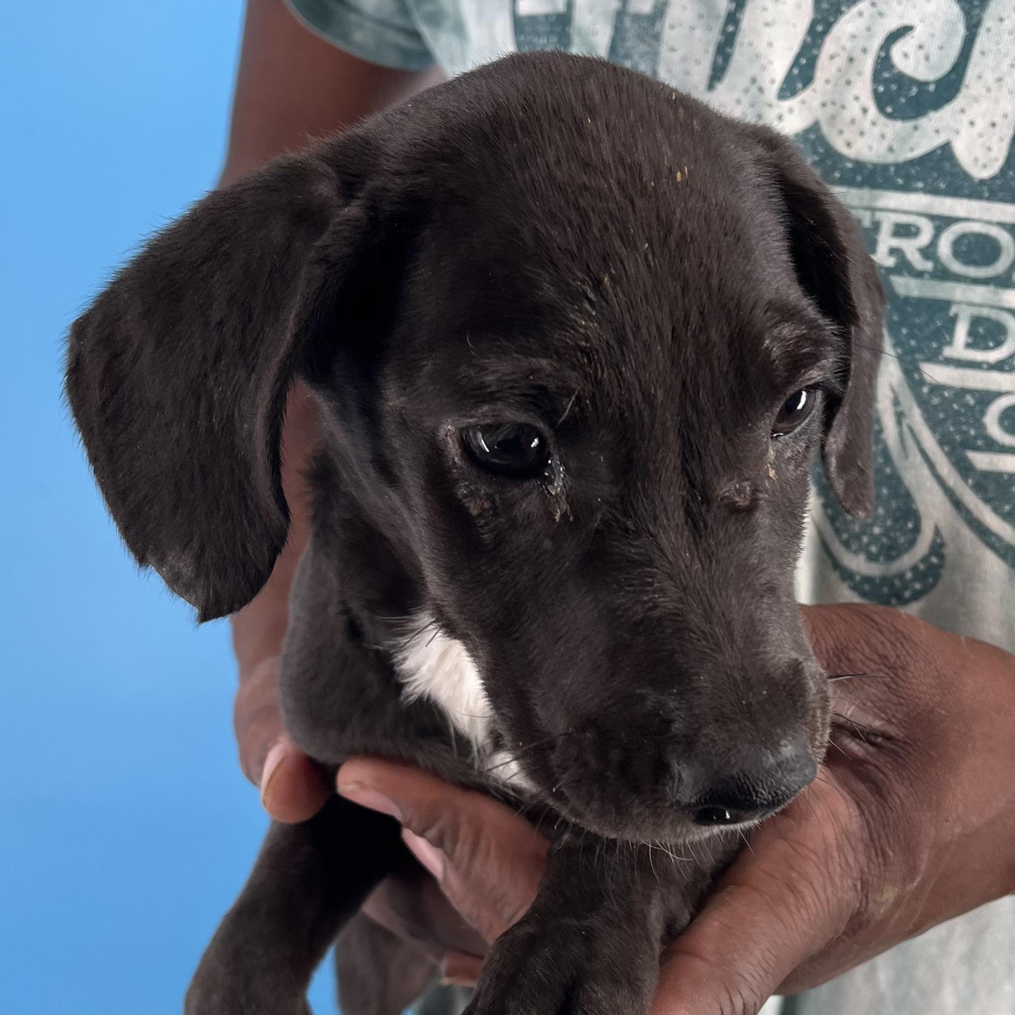 Alden - Local Sept 26-28