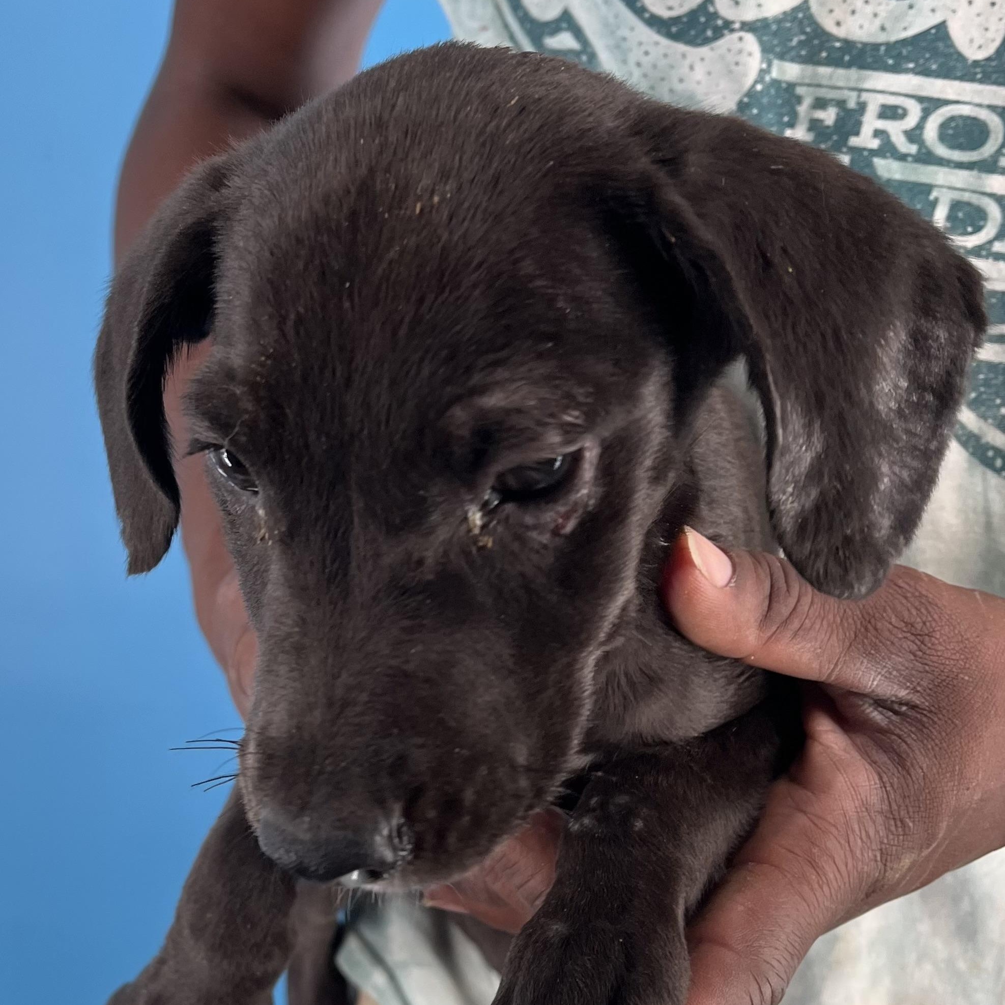 Alden - Local Sept 26-28