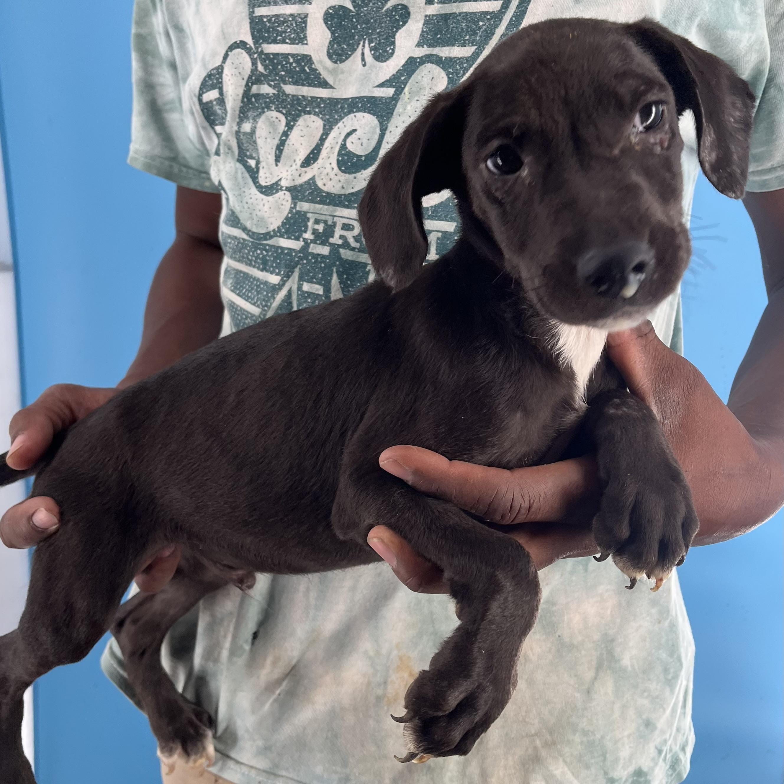 Alden - Local Sept 26-28