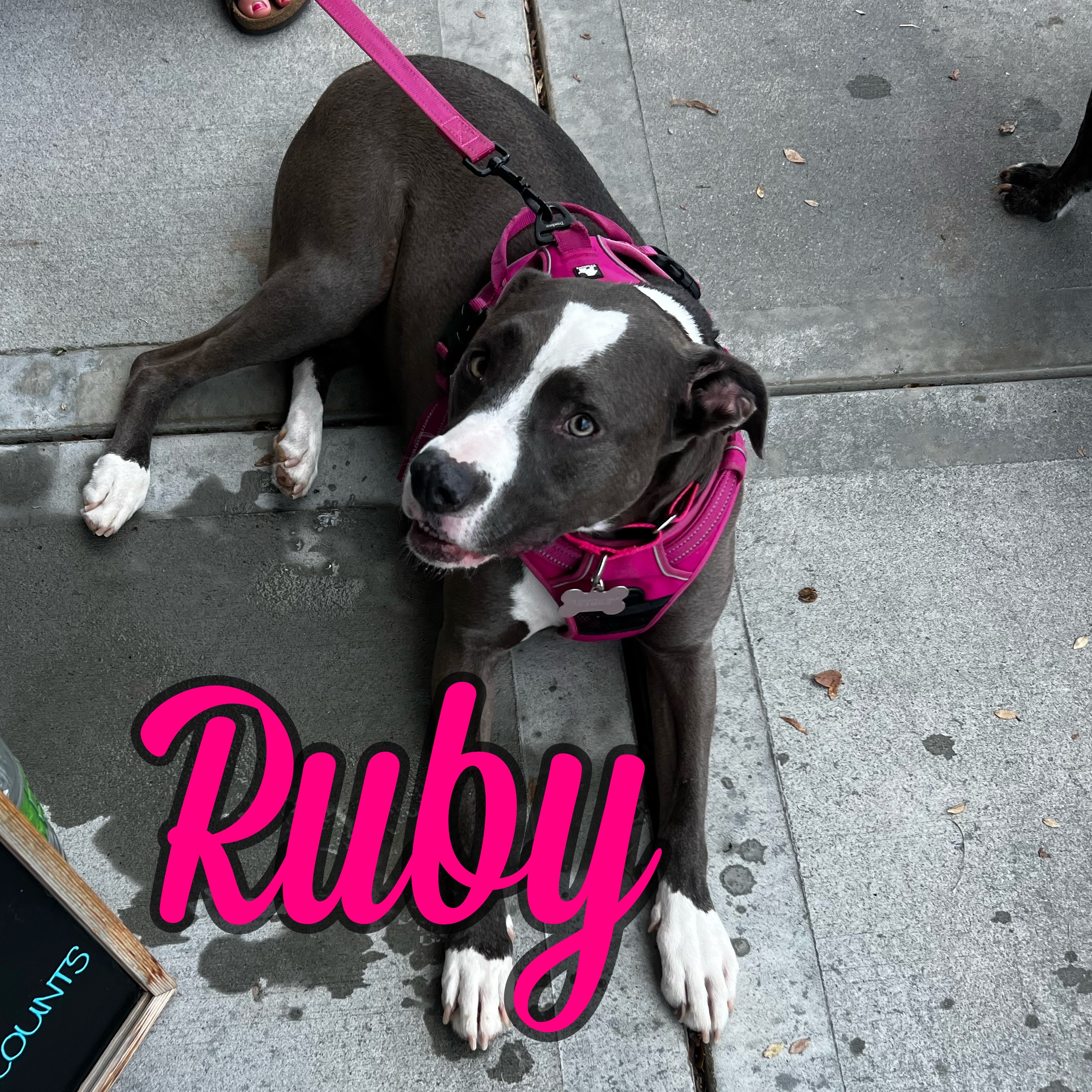 Ruby photo 3