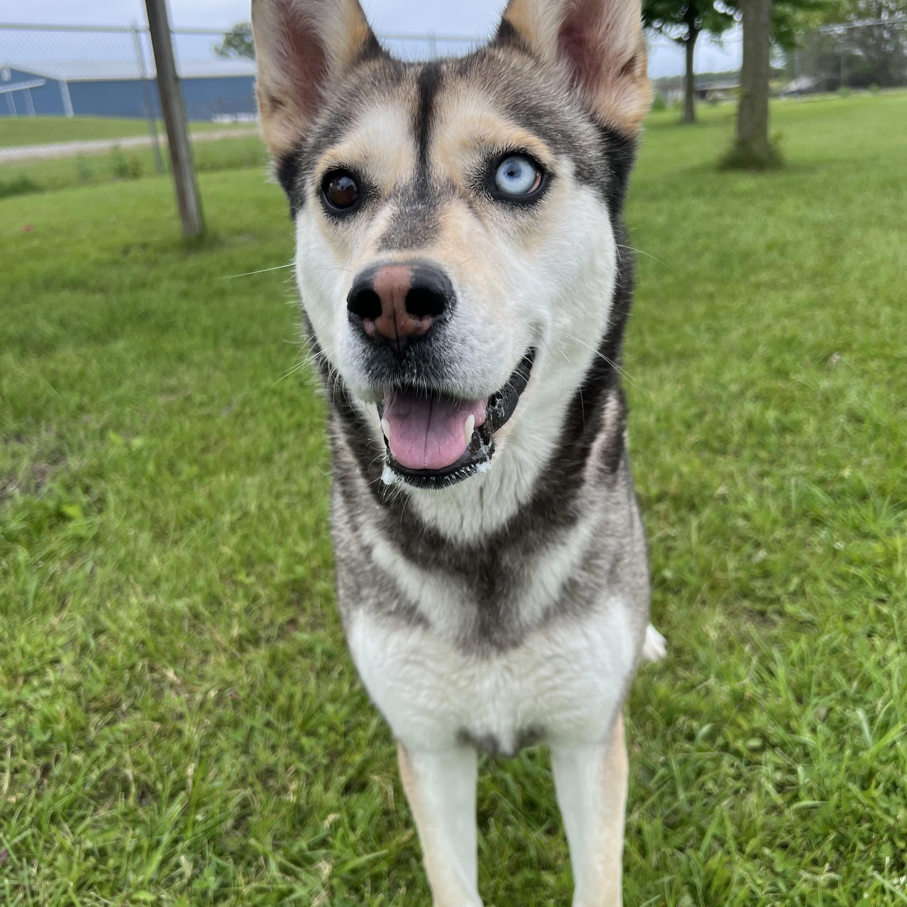 Lucy