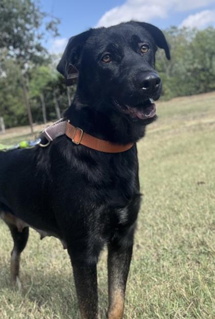 Renee — thumbnail 3