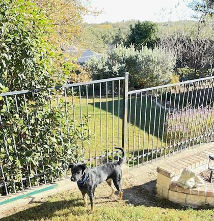 Renee — thumbnail 4