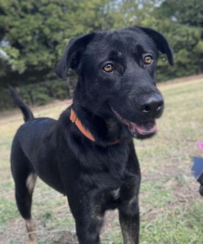 Renee — thumbnail 5