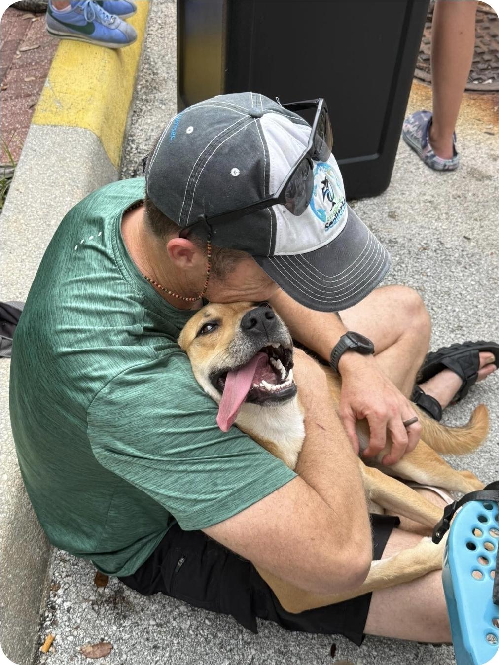 Enlarge Joanie, a Adoptable mixed breed in Melbourne , FL image 3/5