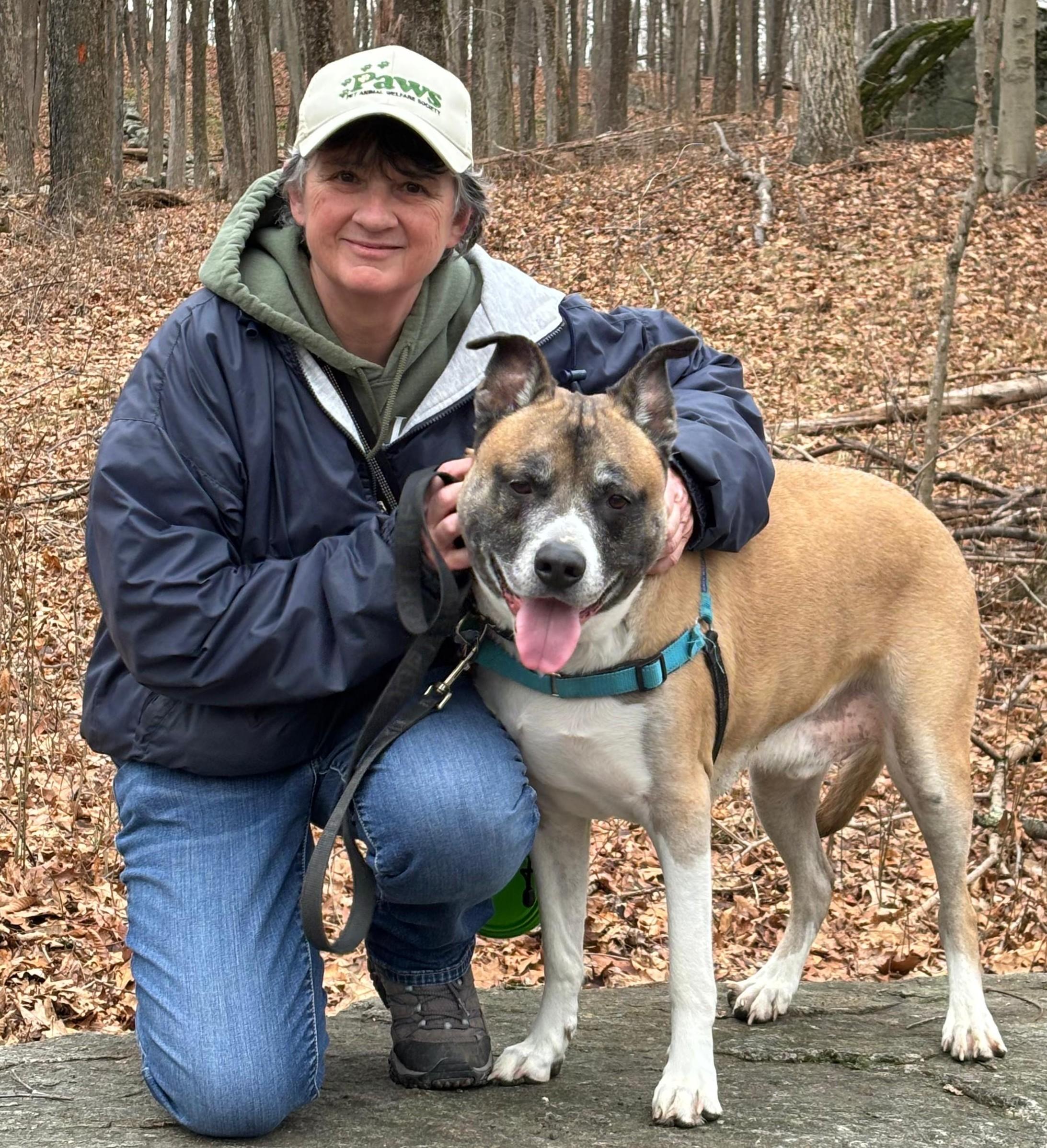 Enlarge Duke, an adopted mixed breed in Norwalk, CT image 4/6