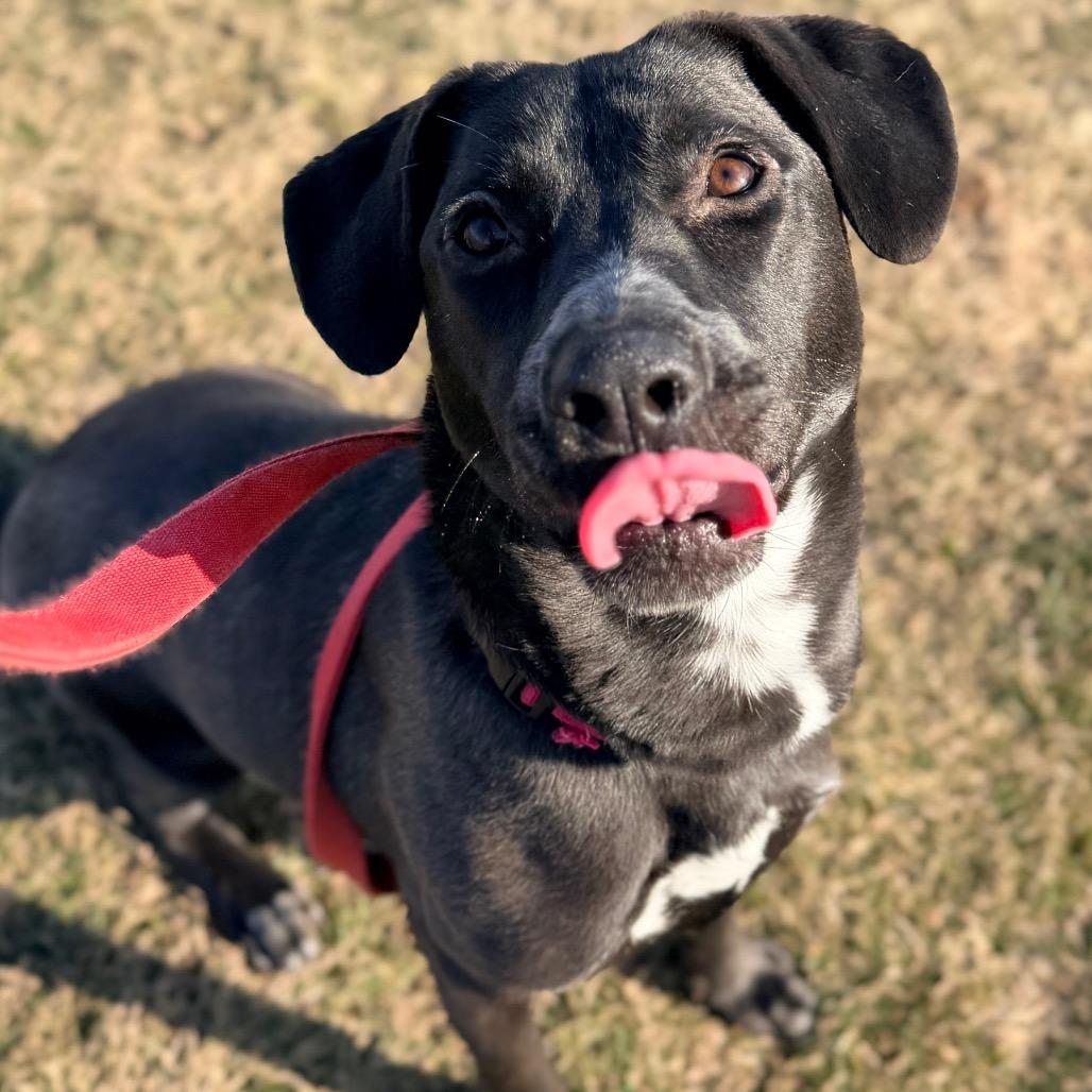 Sugar — thumbnail 6