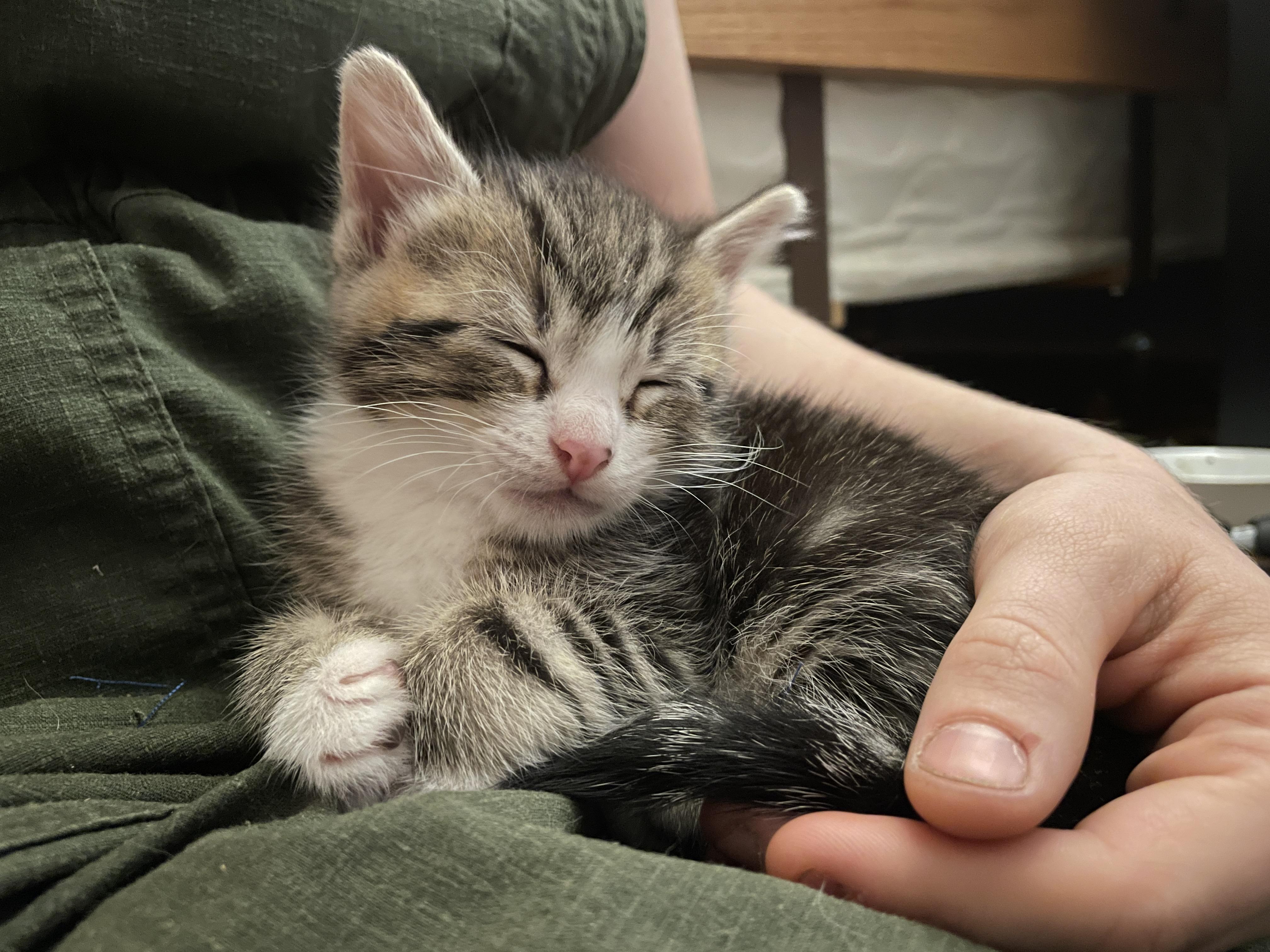 Little Lady & Little Man 5