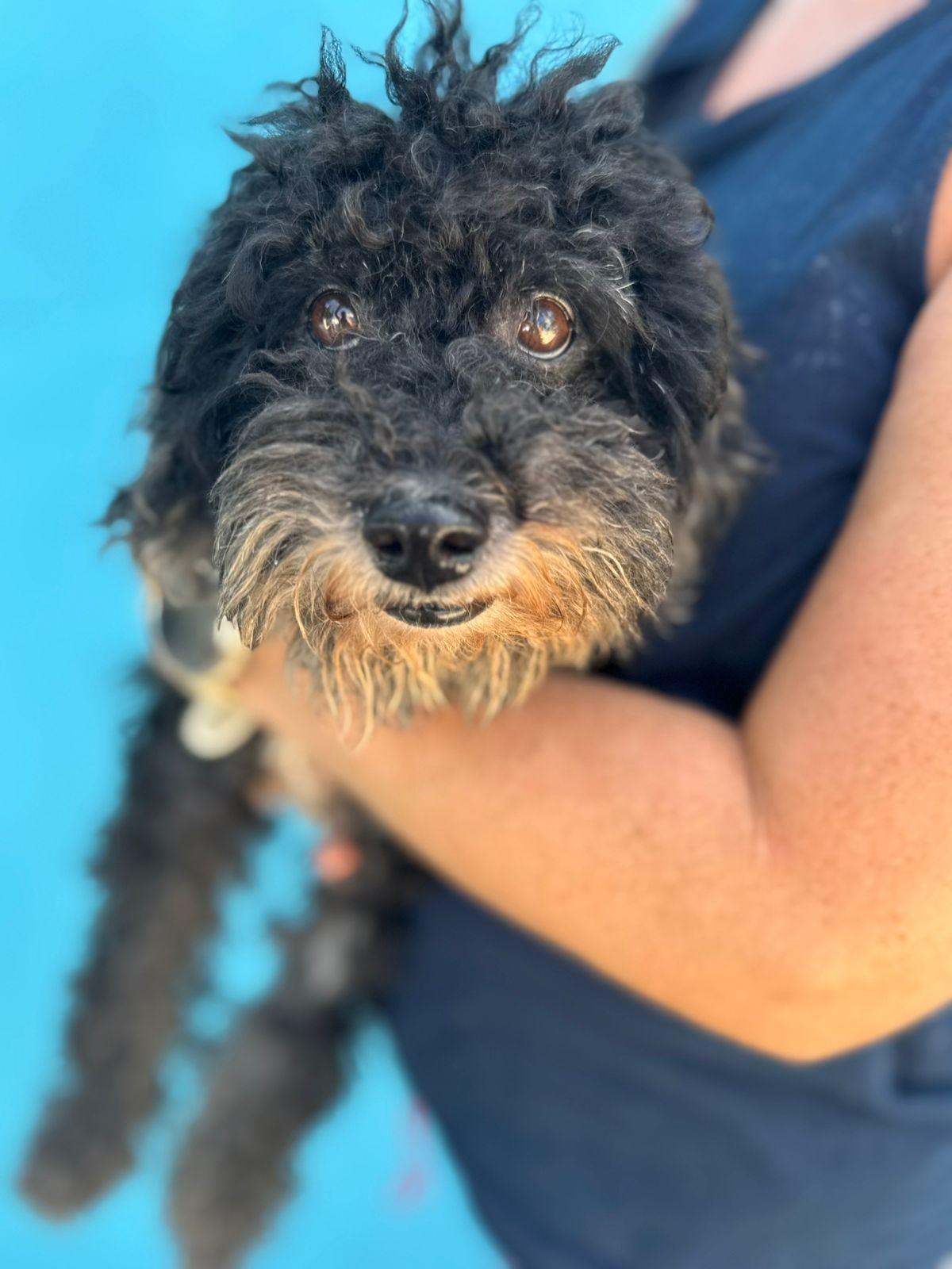 MURPHY
