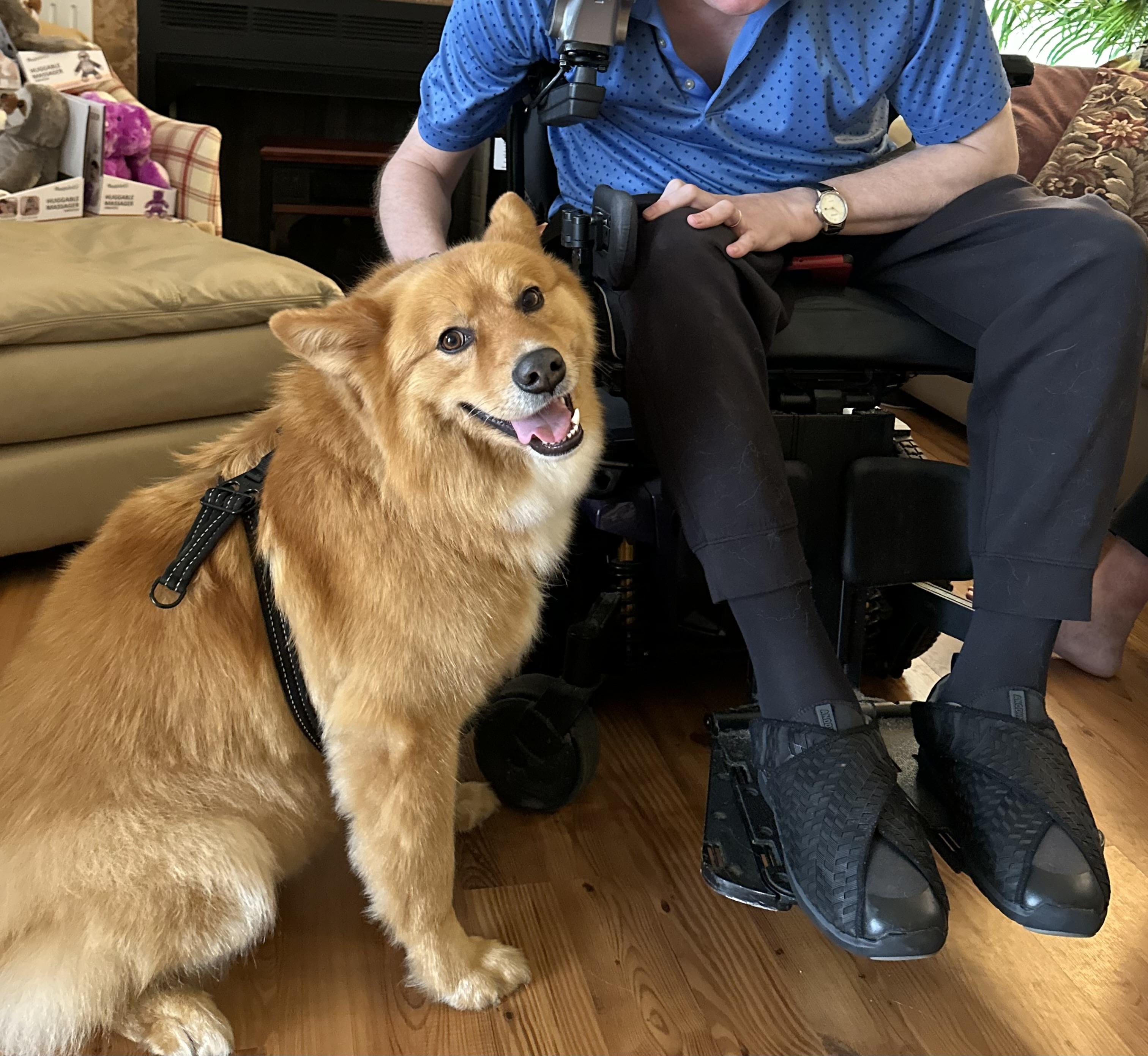 Lucas Ray Jackson, a Adoptable mixed breed in Sherman, CT image 3/6