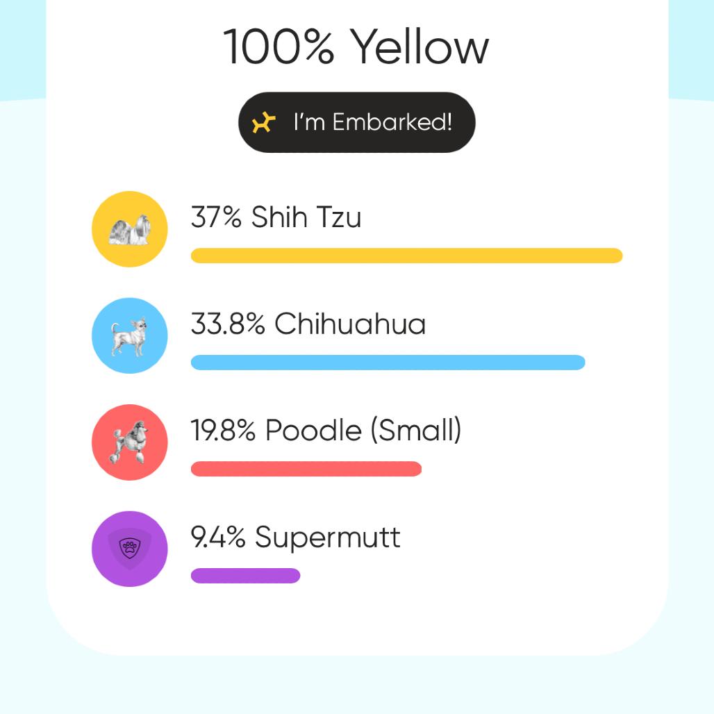 Enlarge Charlie, a Adoptable Shih Tzu in Cashmere, WA image 3/6