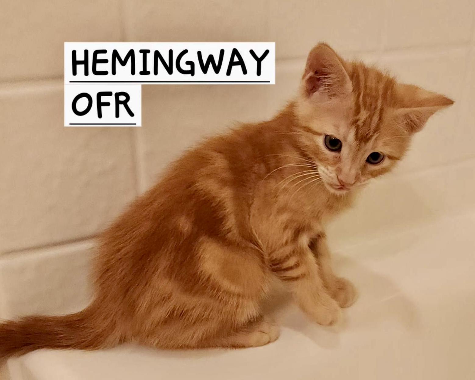 Hemingway