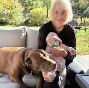 Enlarge Bella, a ADOPTABLE mixed breed in Acushnet, MA image 2/3