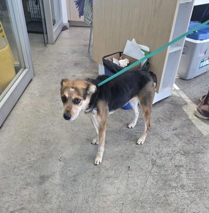 Venus — thumbnail 2