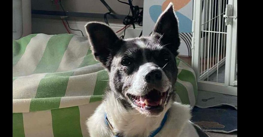 Shadow ~ — thumbnail 3