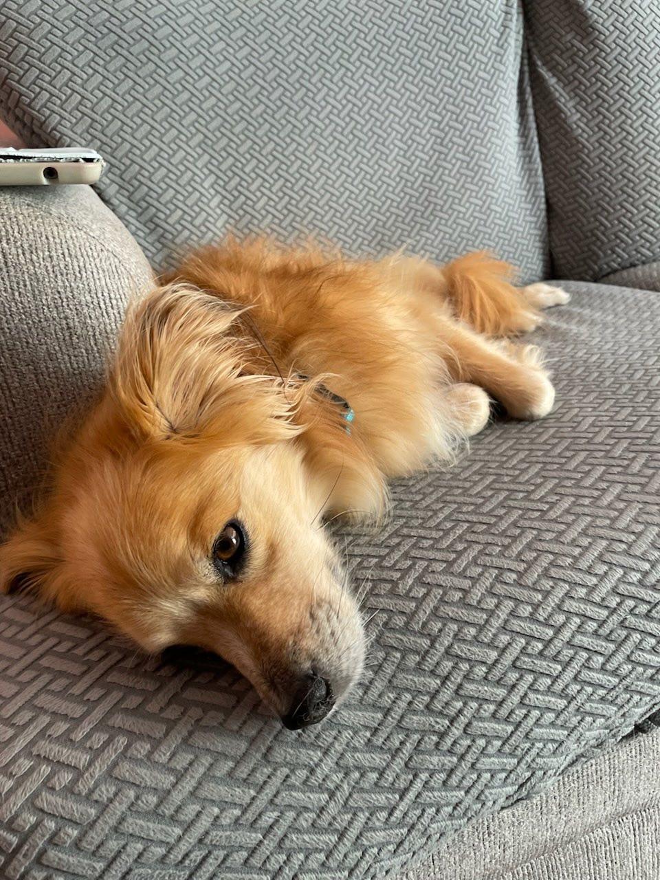 Ella