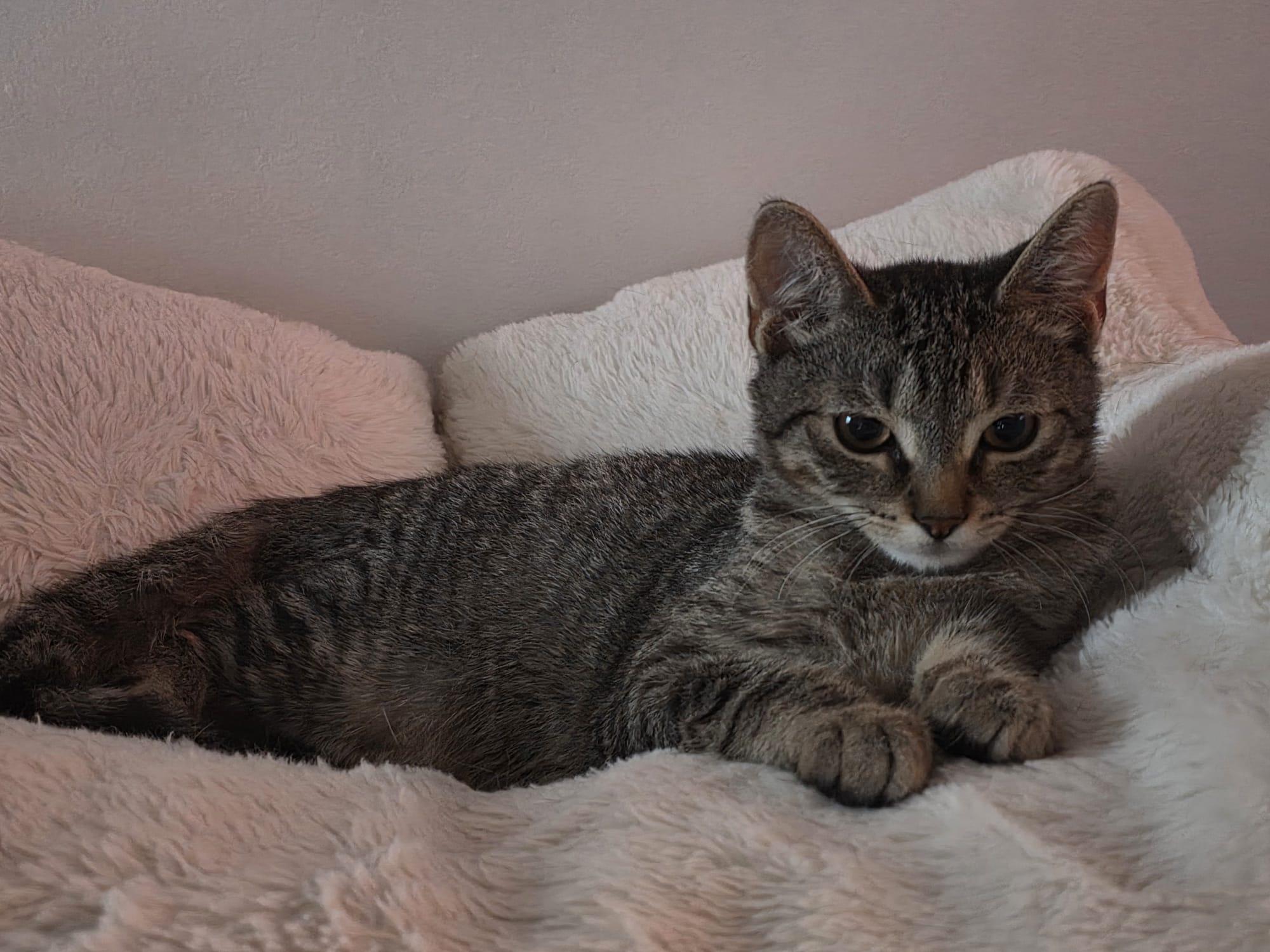 Meet Baby Boy Skylerschedule thumbnail 2