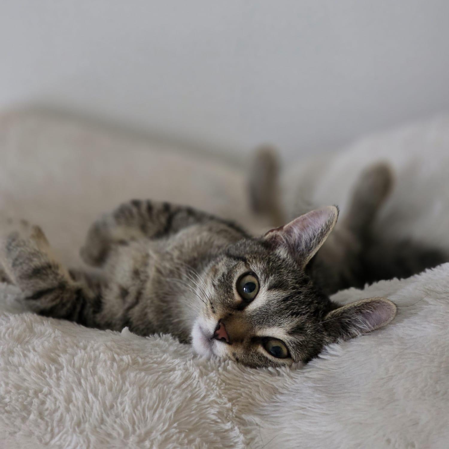 Meet Baby Boy Skylerschedule thumbnail 3