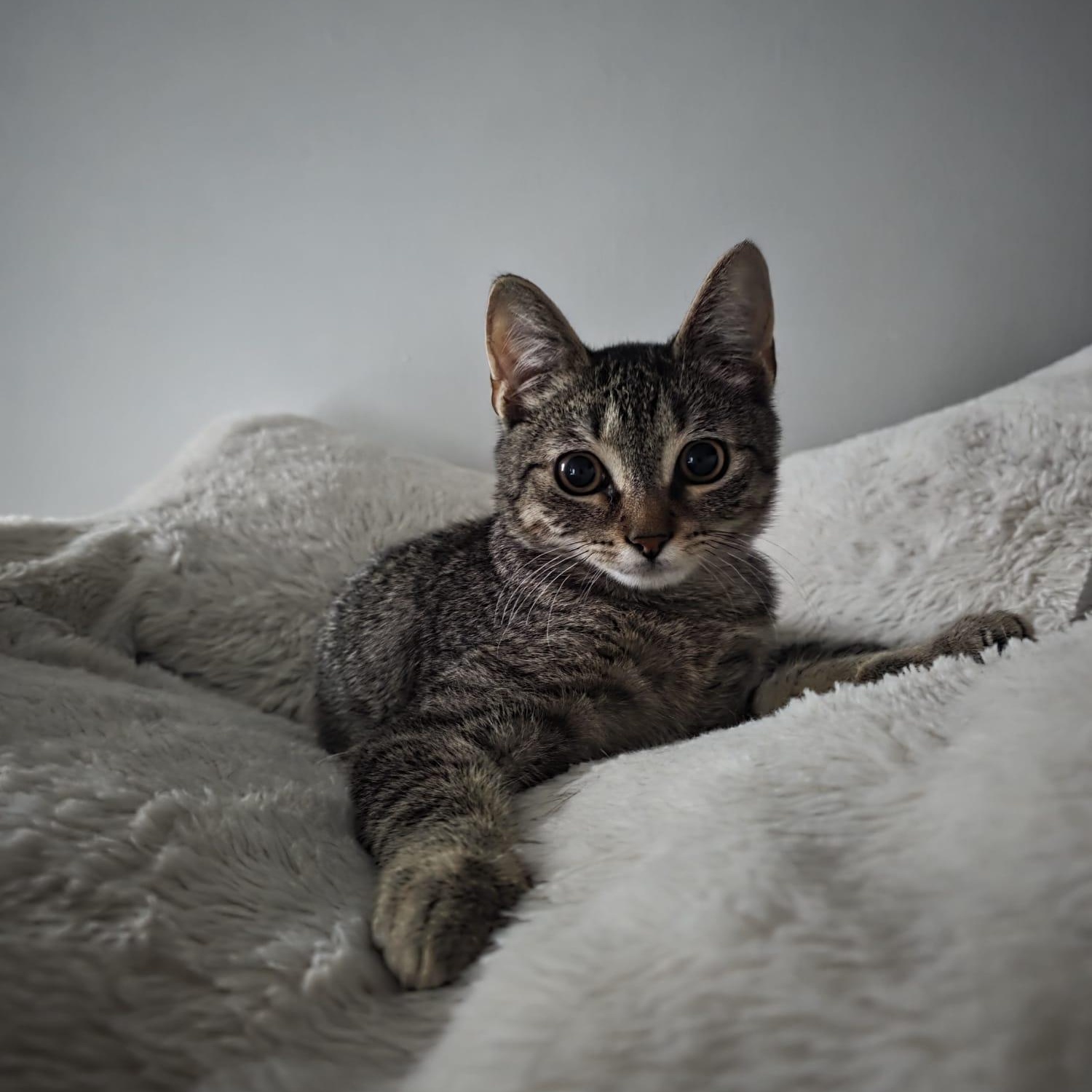 Meet Baby Boy Skylerschedule thumbnail 5