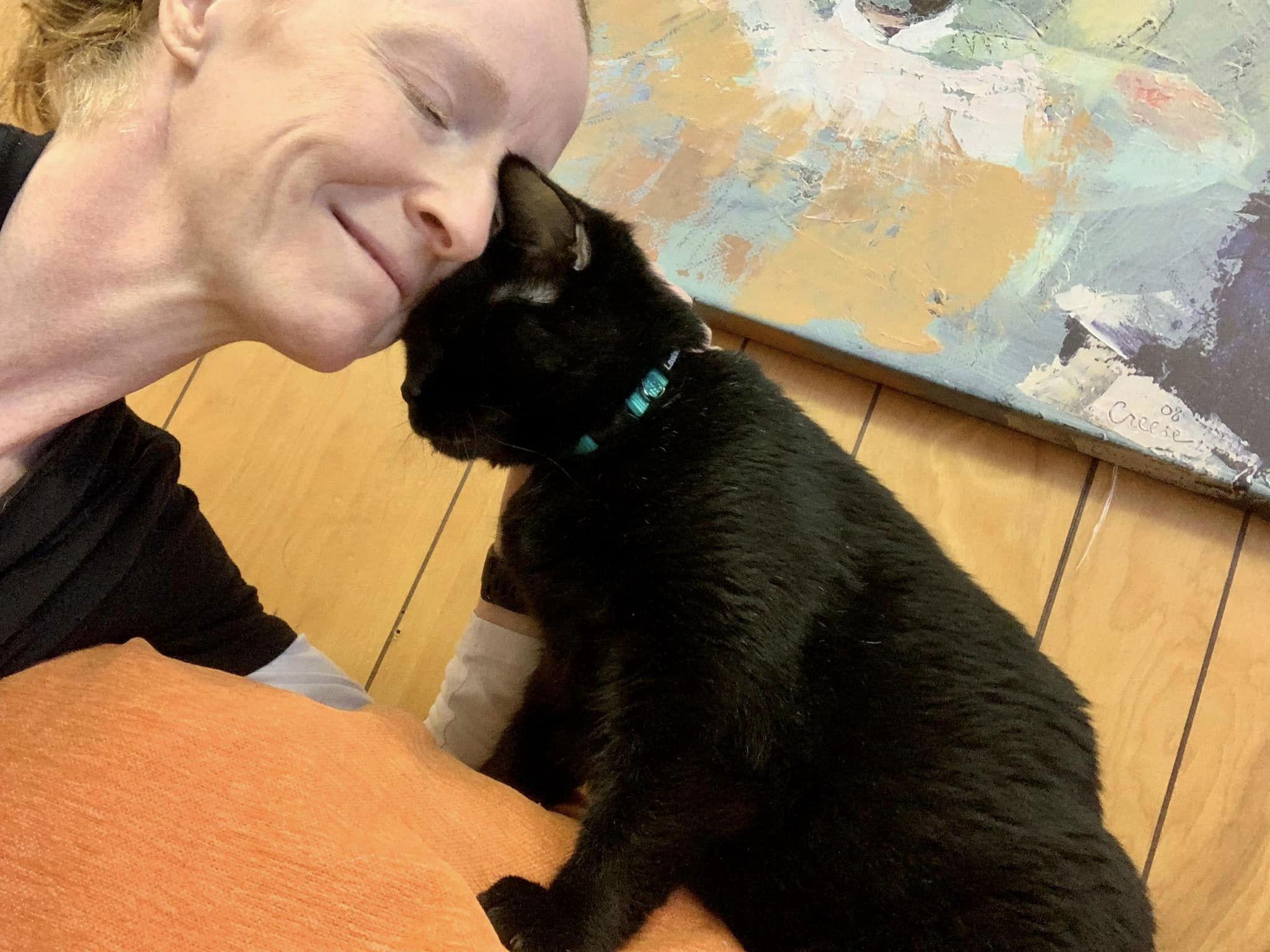 Blackberry, a Adopted mixed breed in Memphis, TN image 5/5