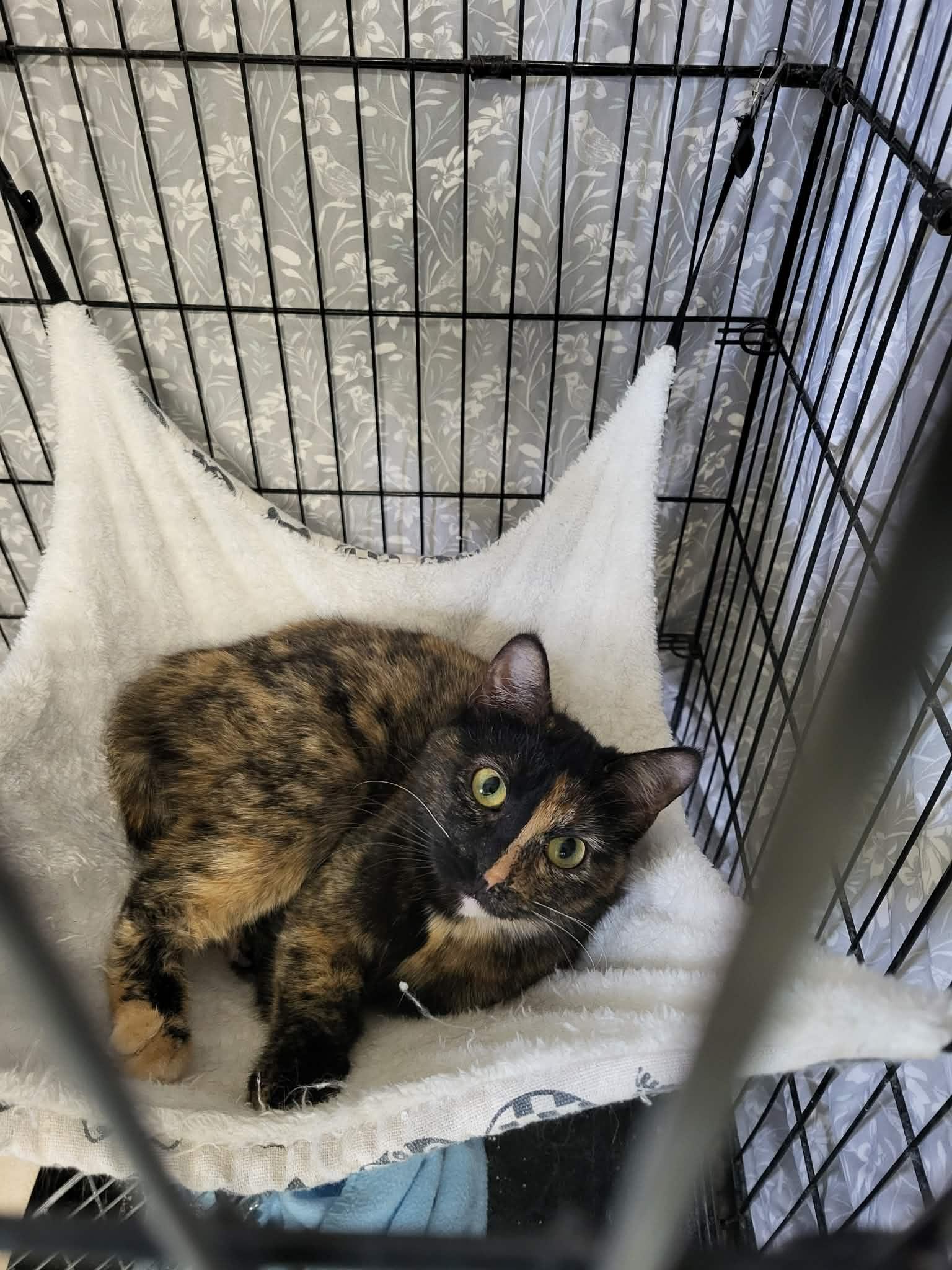 Jamie "James" Monroe — thumbnail 3