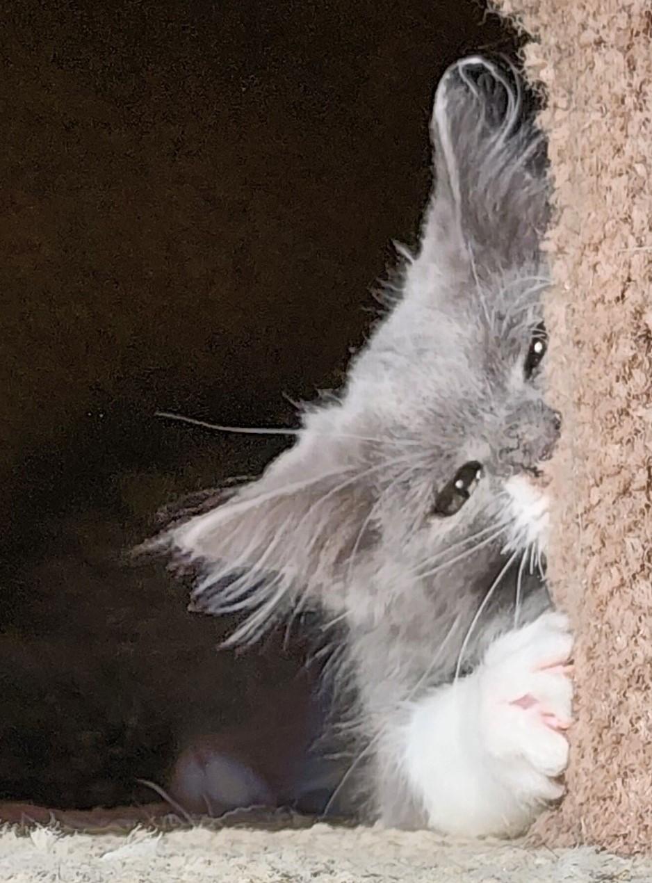 Nicky  Loving And thumbnail 2