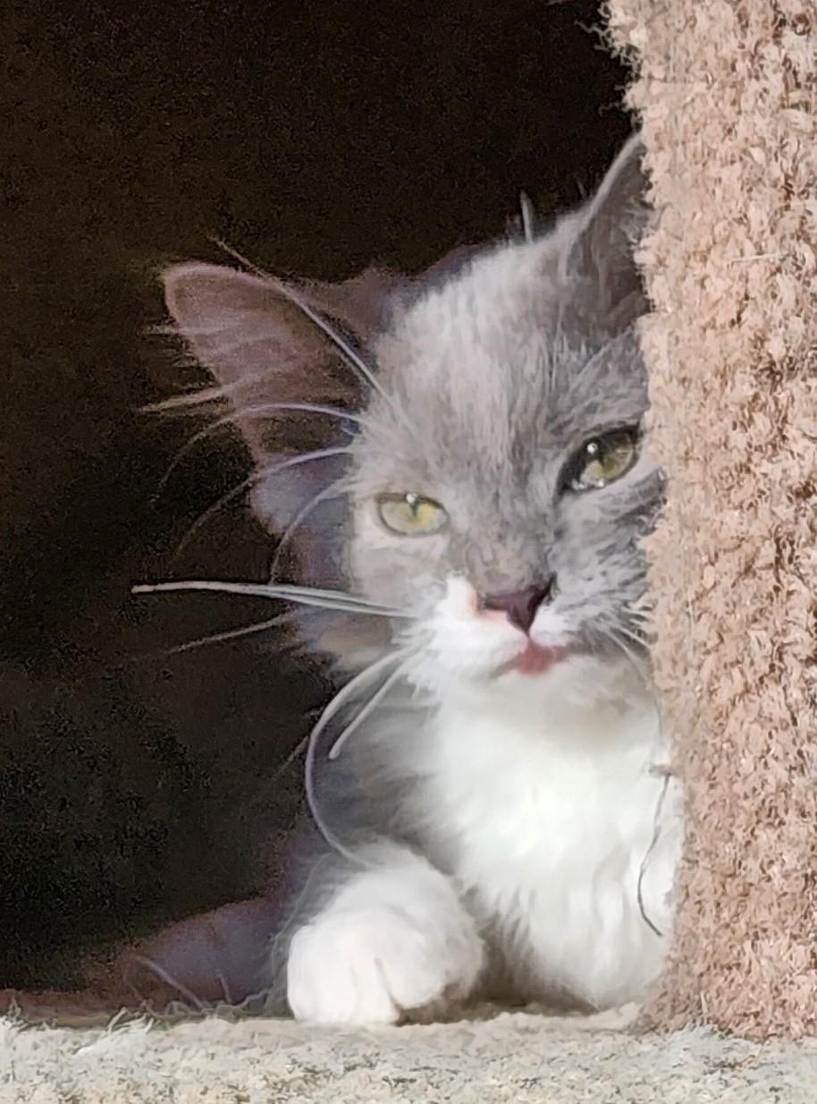 Nicky  Loving And thumbnail 4