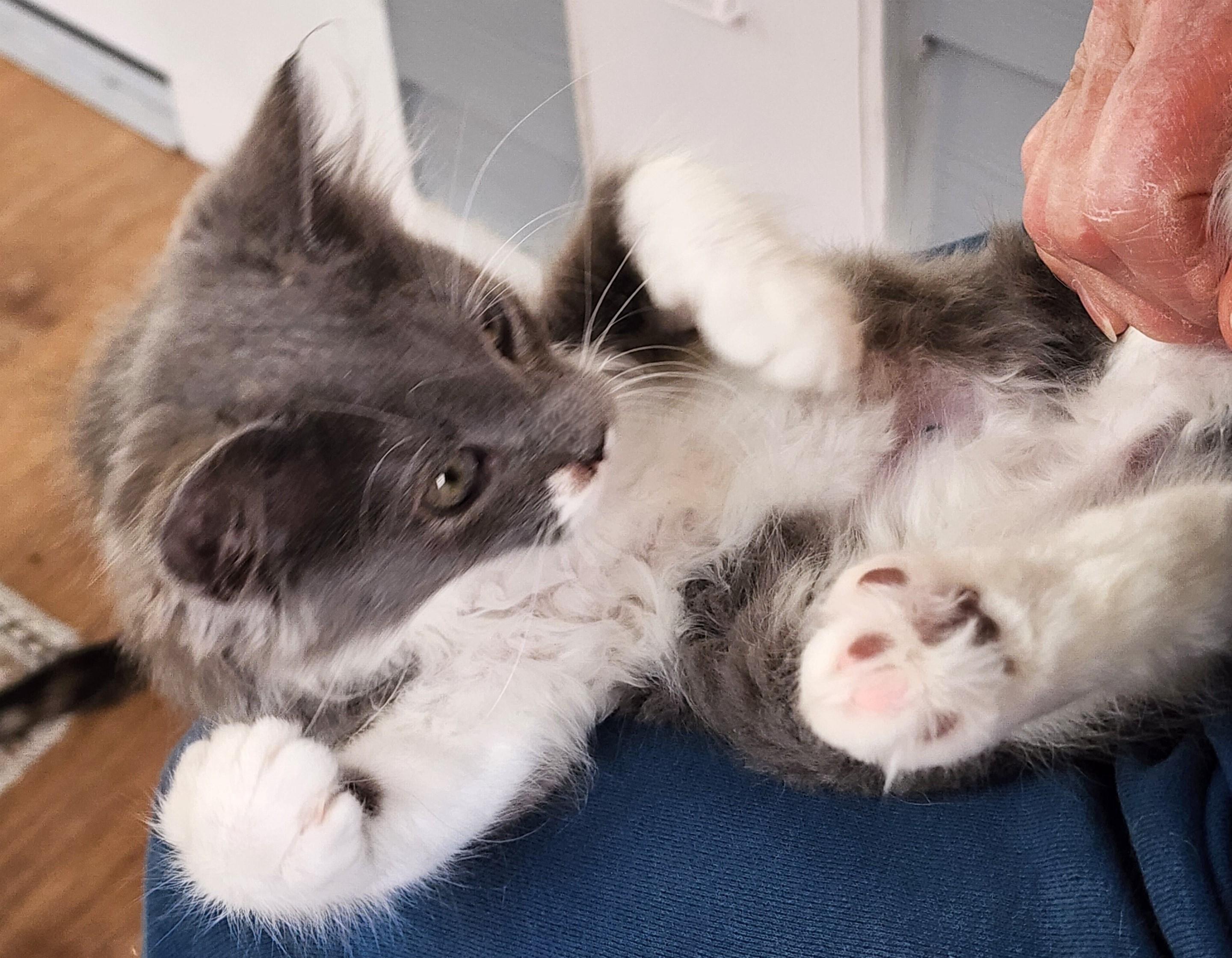 Nicky  Loving And thumbnail 6