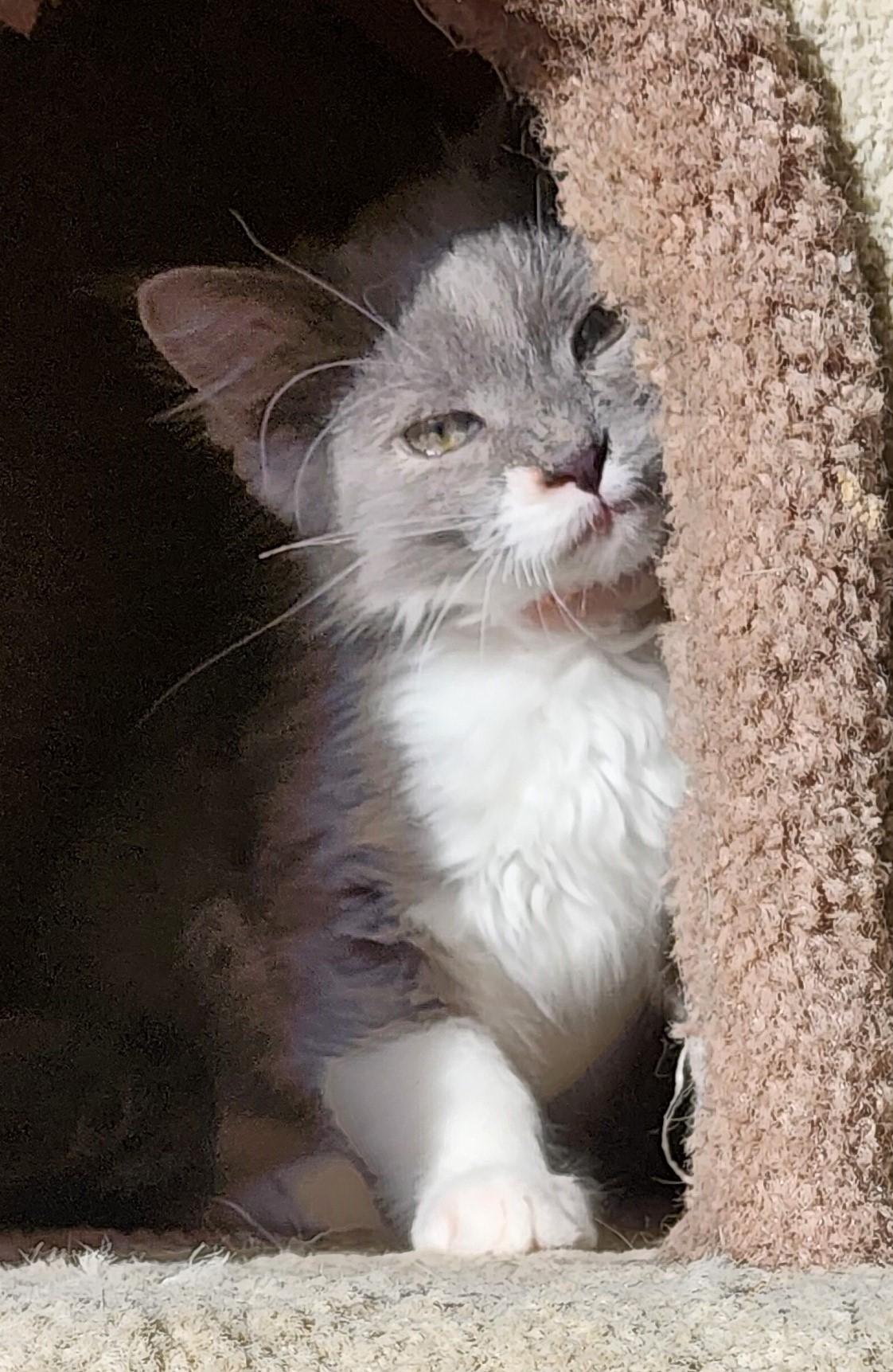 Nicky  Loving And thumbnail 3