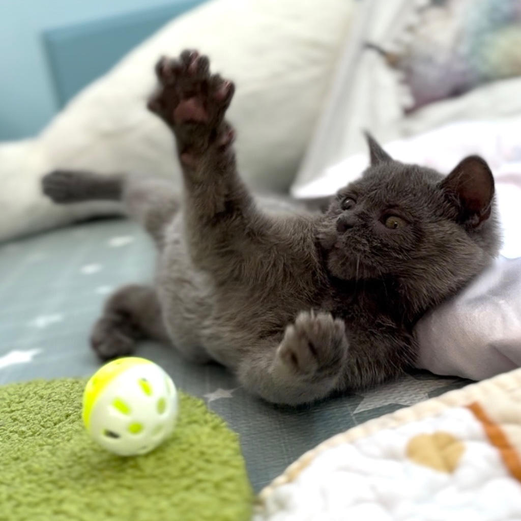 Uh Oh Special Needs thumbnail 2