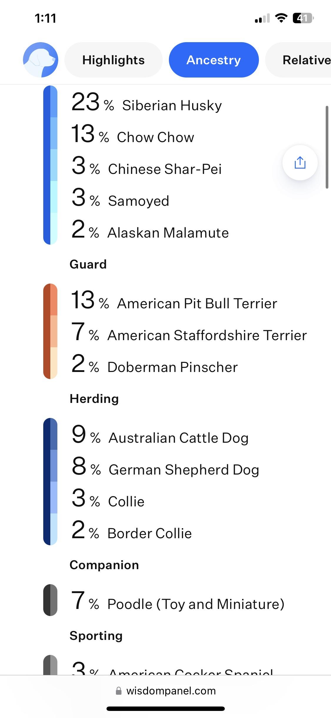 Enlarge Malibu, a Adoptable mixed breed in Litchfield Park, AZ image 2/4