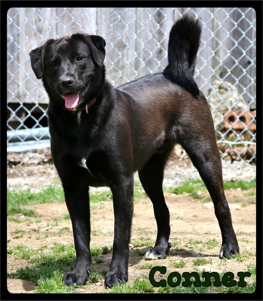 Conner