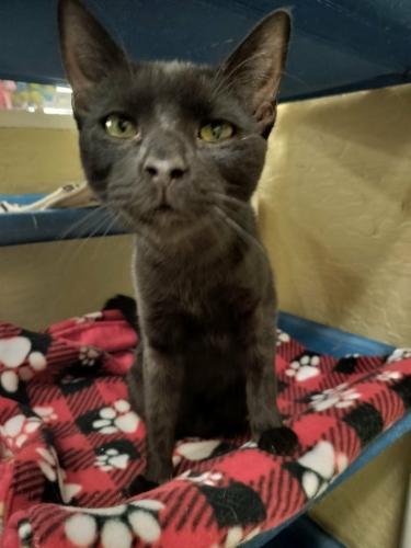 Spice — thumbnail 3