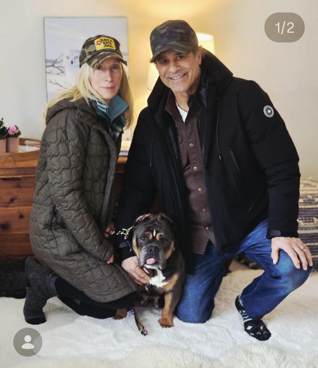 Enlarge LuLu, a Adopted Pit Bull Terrier in Framingham, MA image 1/3