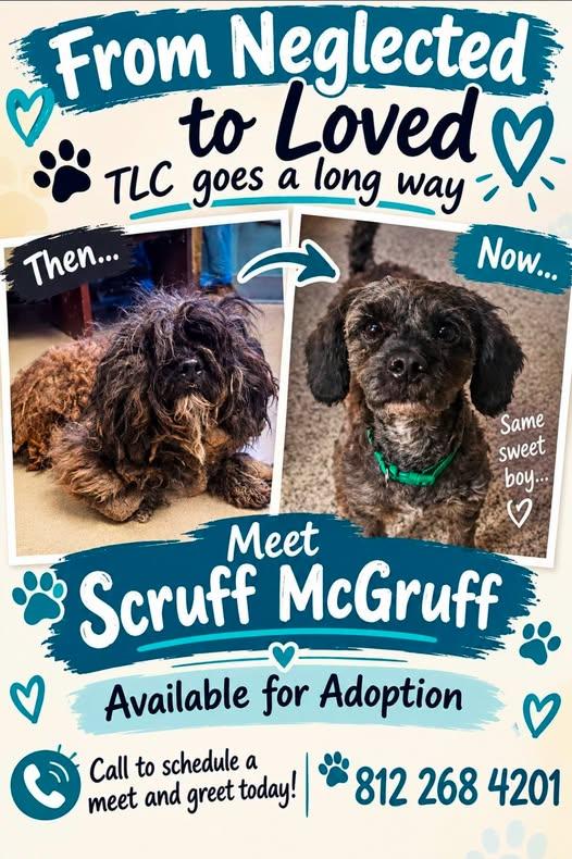 Scruff McGuff photo