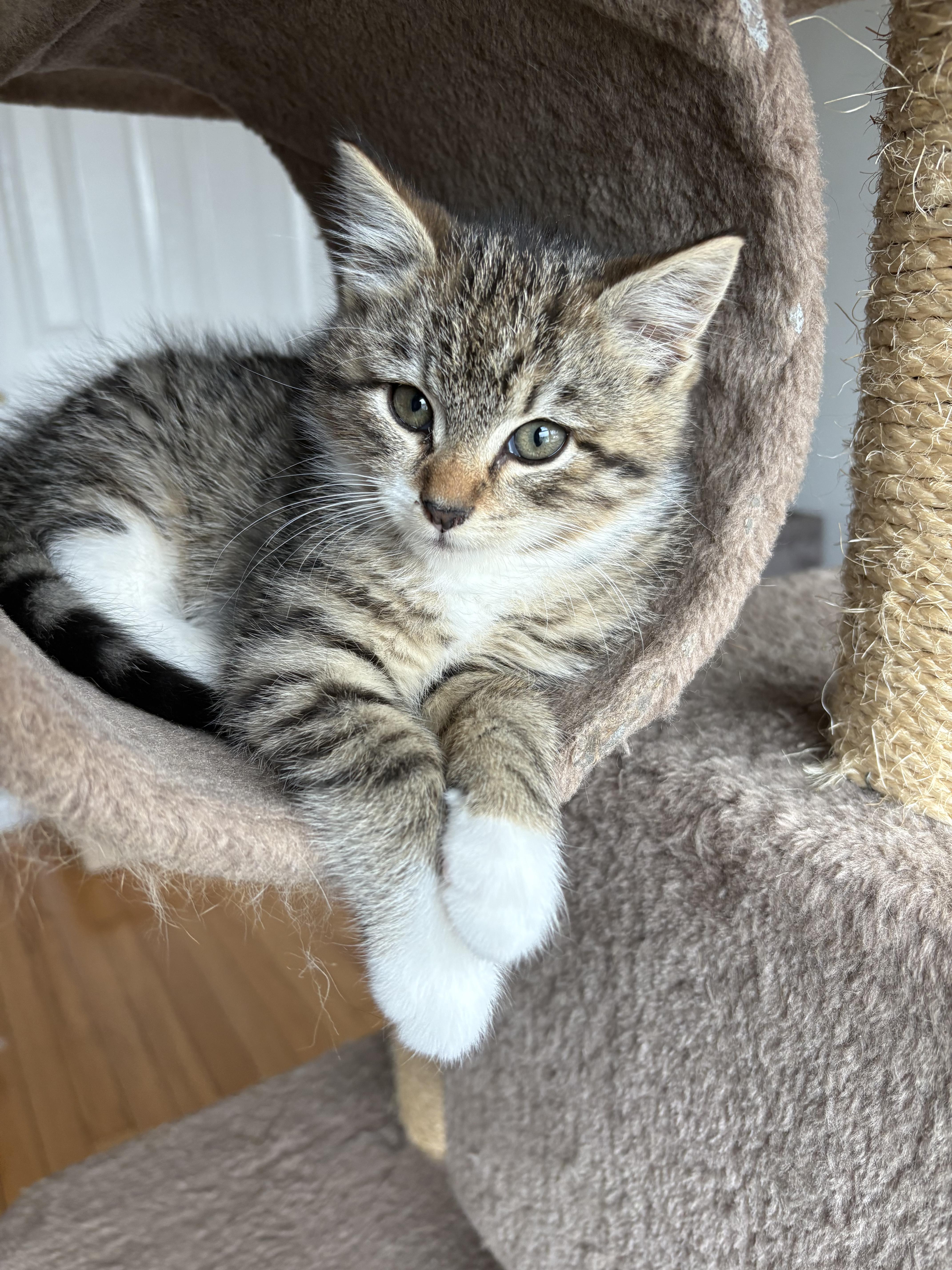 The Mean Girls (Don't let the name fool you - far from mean!)