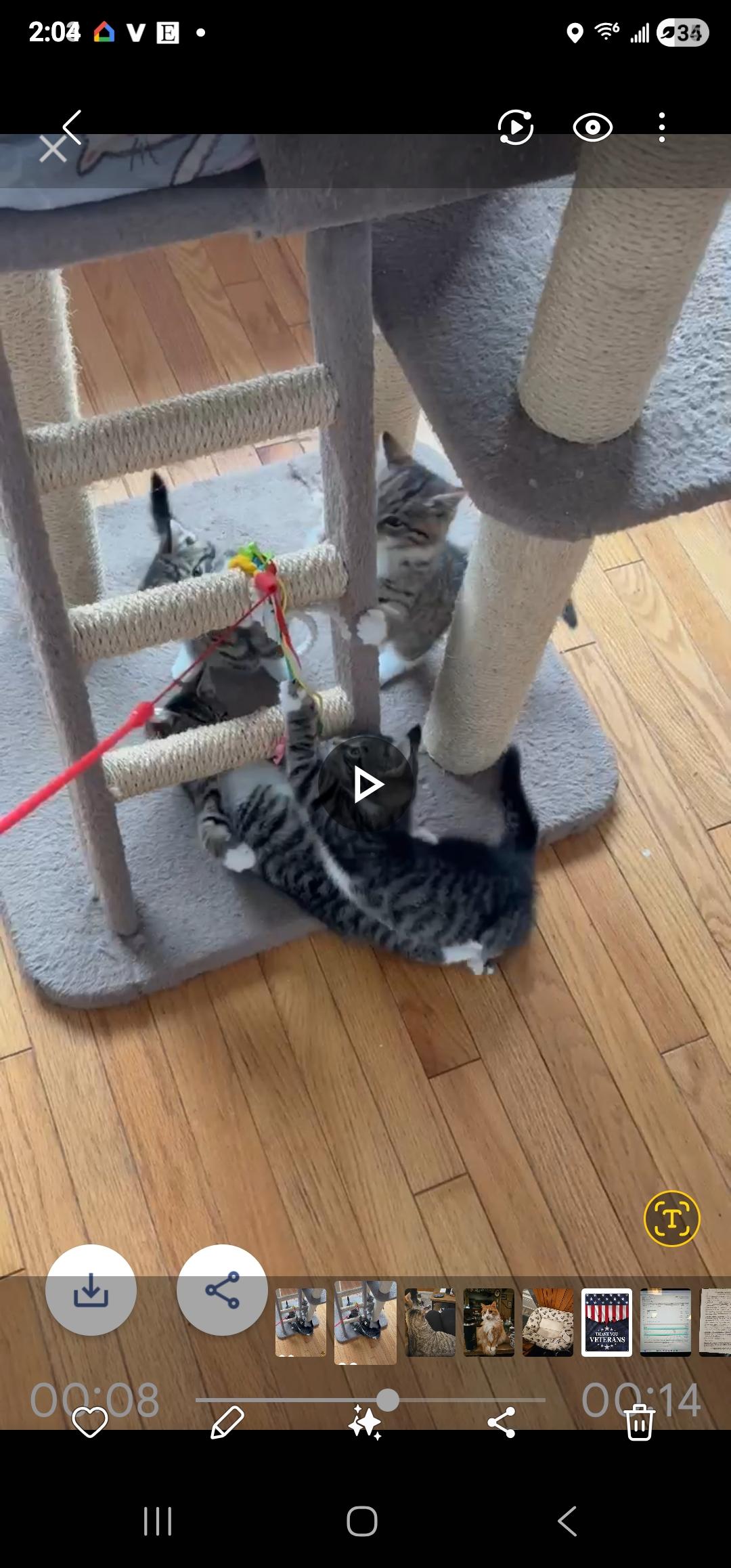 The Mean Girls (Don't let the name fool you - far from mean!)