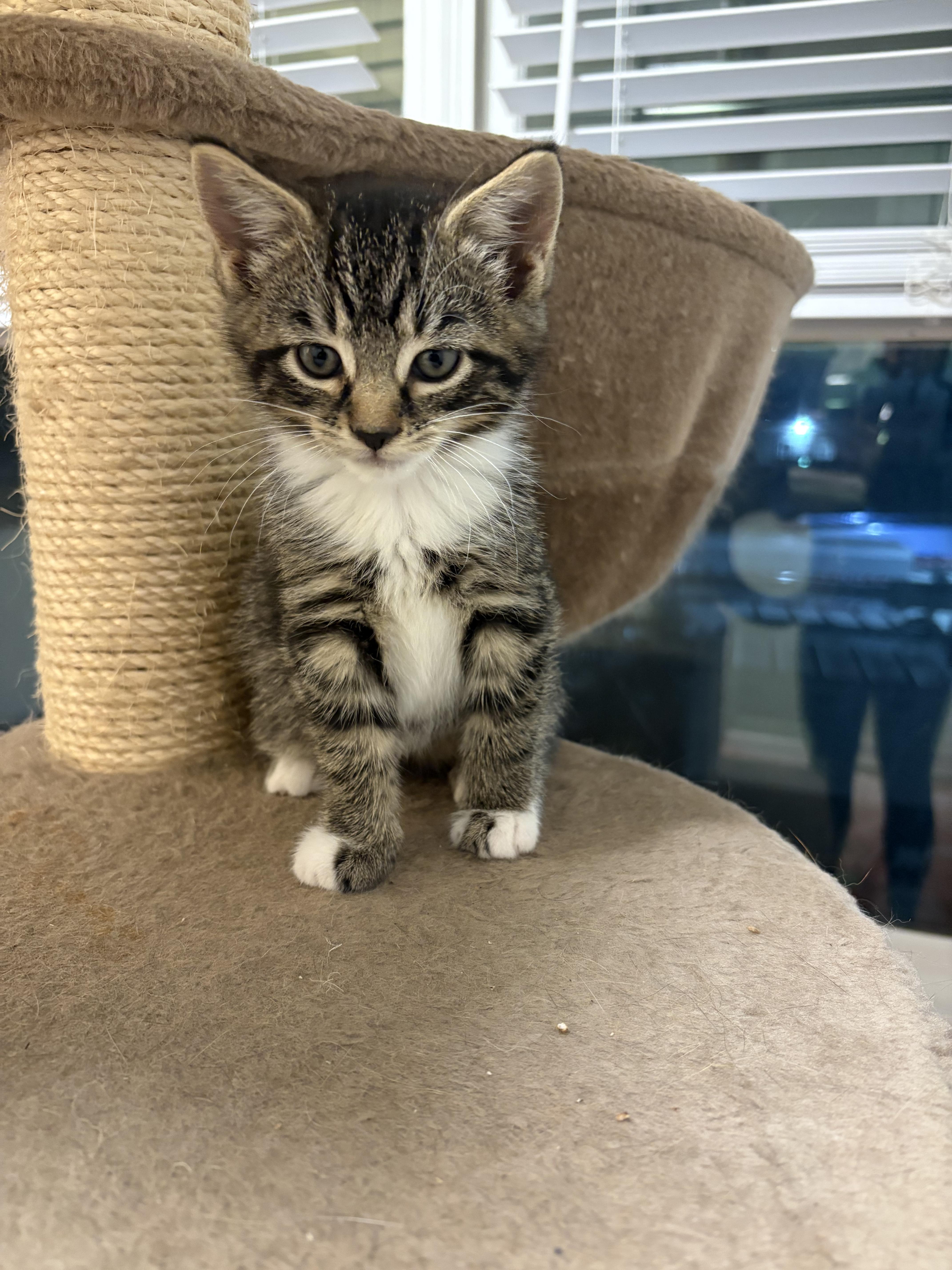 The Mean Girls (Don't let the name fool you - far from mean!)