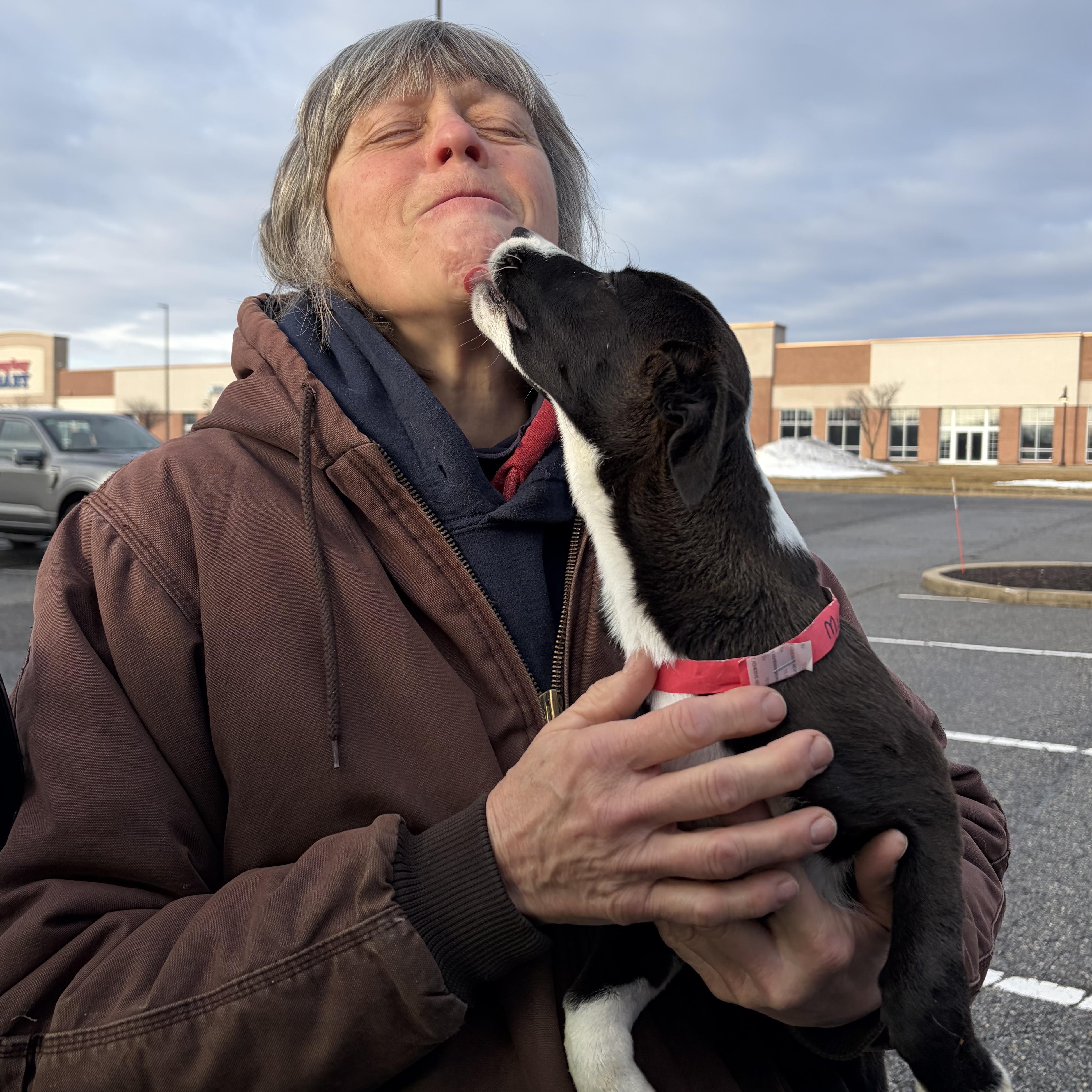 Enlarge Mighty Mouse, a Adoptable mixed breed in West Grove, PA image 4/4
