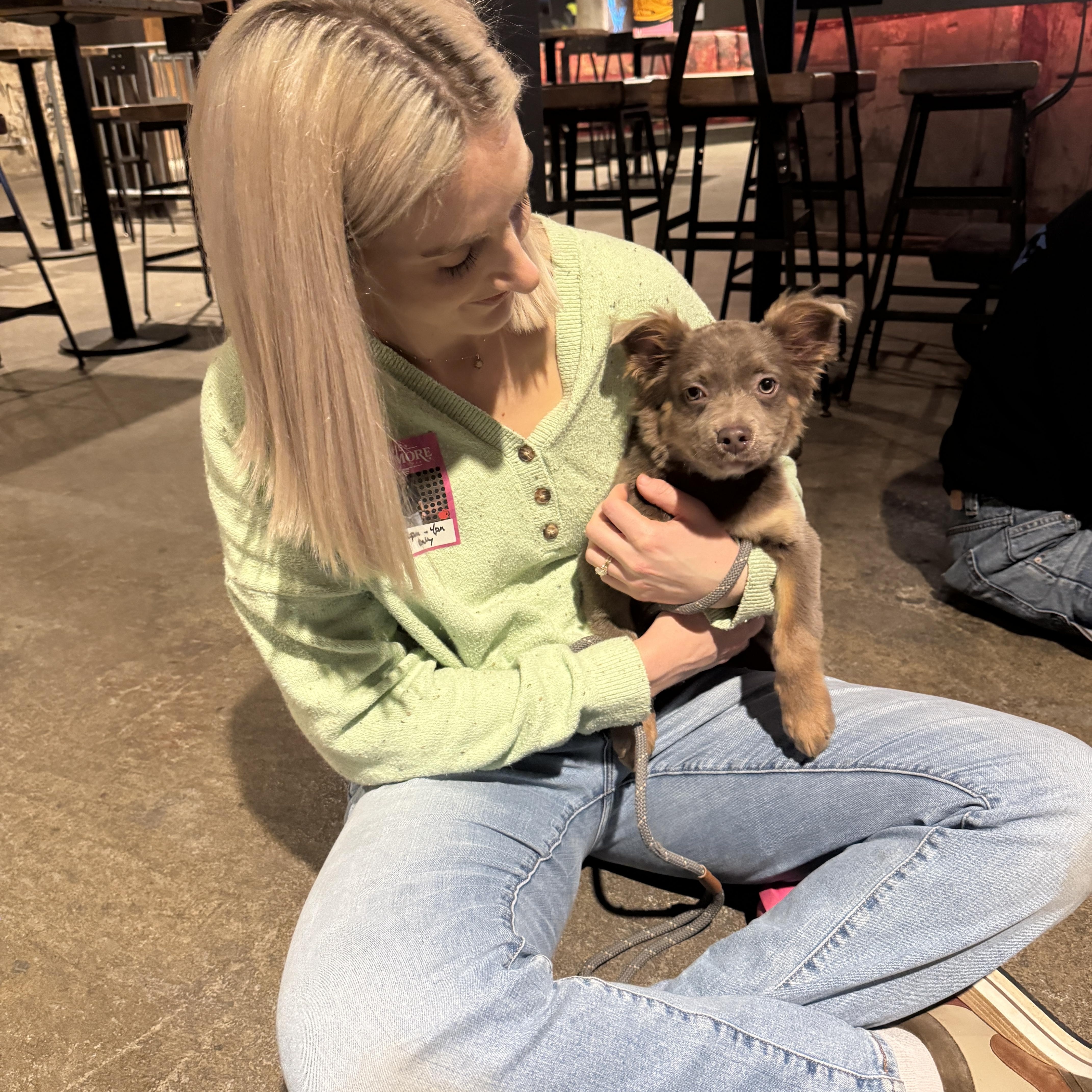 Enlarge Zena, an adopted mixed breed in Philadelphia, PA image 3/3