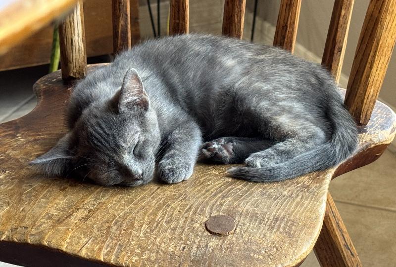 Posh  Spice Girls thumbnail 2